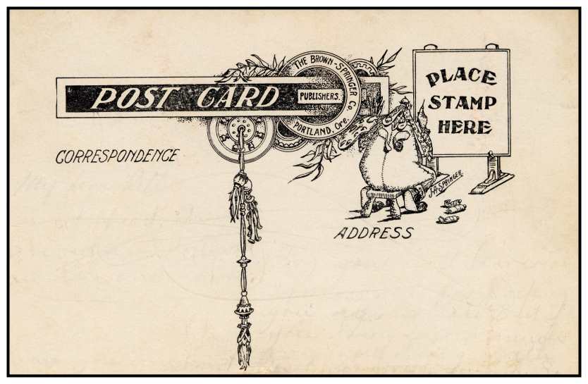 postcardback-brown-springera